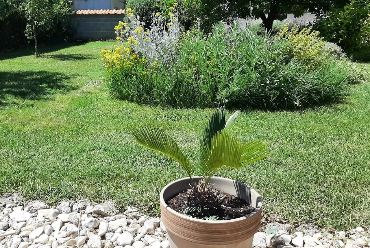 Apartment Tina Brisevo 0*,  Croatia